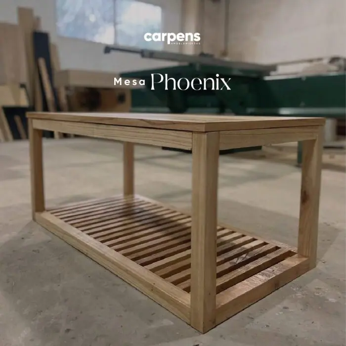 mesa Phoenix 061